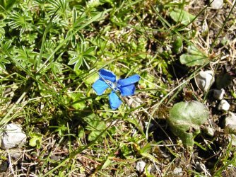 Dreiländereck 17.06.2006 021.jpg