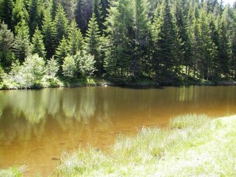 Dreiländereck 17.06.2006 031.jpg