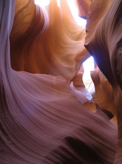 IMG_6074.JPG IMG_6074.JPG