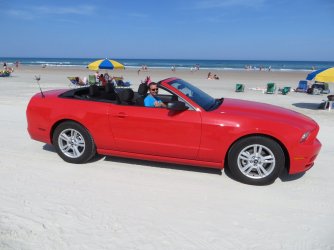 IMG_1175.JPG IMG_1175.JPG