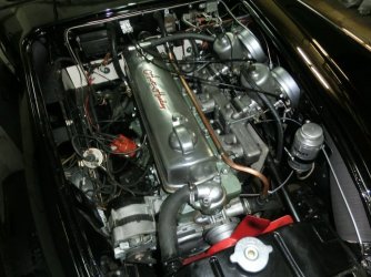CIMG3200.jpg