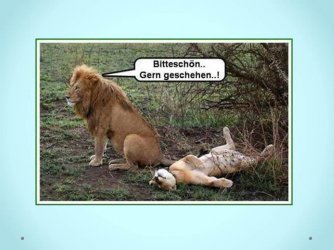 Folie9.JPG