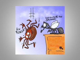 Folie5.JPG