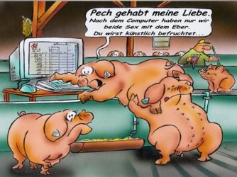 Folie14.JPG