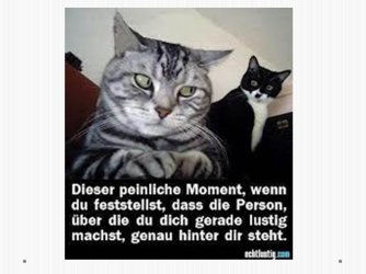 Folie10.JPG