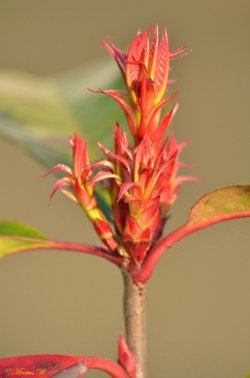 DSC_0804.jpg