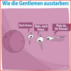 2Aufzeichnen.JPG