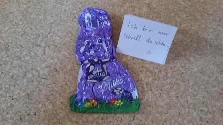 Osterhase ist duschen.jpg