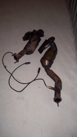 100_3555.JPG
