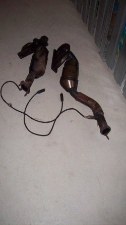 100_3558.JPG