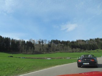 IMG_1393k.jpg