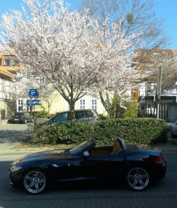 20150415_163307-1.jpg