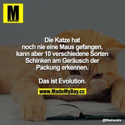 evolution.jpg