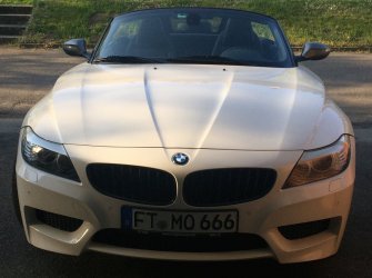 Gitter ohne Streben.JPG