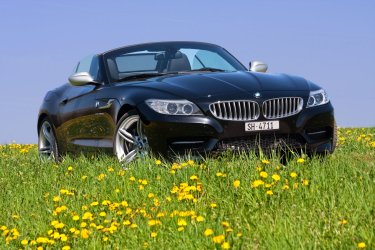 IMG_3175Web.jpg
