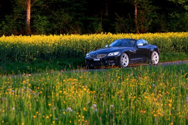 IMG_3274-Web.jpg