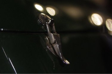 ImageUploadedByzroadster.com1430596586.971750.jpg