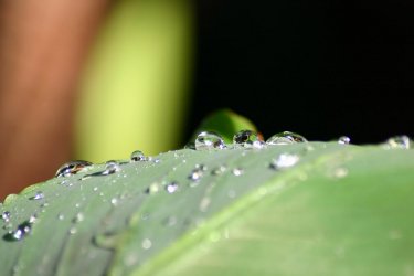 200607_ 018.jpg