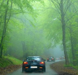 04 Nebel.jpg