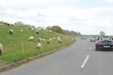 DSC_3809.JPG