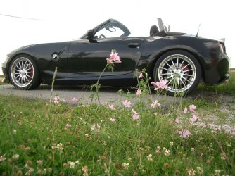 zroadster3.jpg