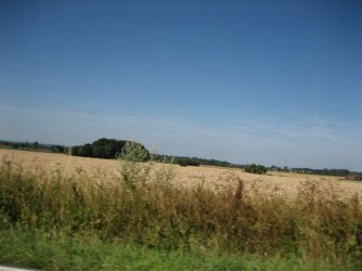 IMG_0124.JPG