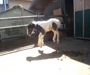 Momentaufnahme 1 (16.05.2015 18-14).jpg