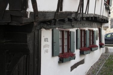 IMG_4647 (1024x683).jpg