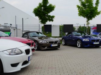 zetti001.jpg