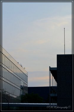 comp_DSC_6701.jpg