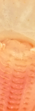 upload_2015-5-29_14-11-1.png