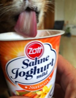 Bild 3.jpg