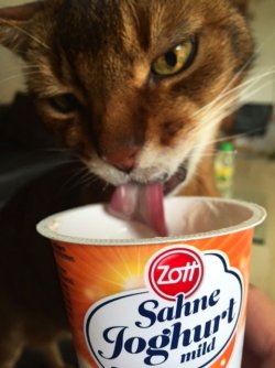 Bild 4.jpg