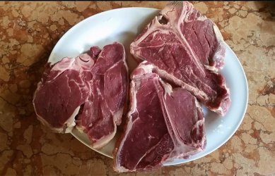 T-Bone (1).jpg