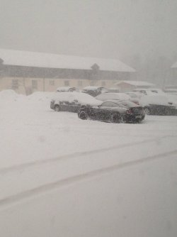IMG_2006.JPG