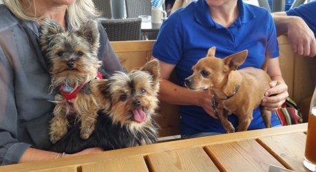 20150531_124535 (1024x558).jpg