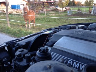 2014-11-01 16.39.59.jpg