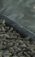 raten.jpg