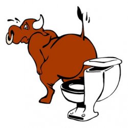 bull-shit.jpg
