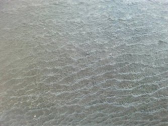 1433311007705.jpg