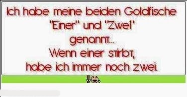 gaestebuch_sprueche_bild_witzig_04_www.gb-terror.de-1.jpeg