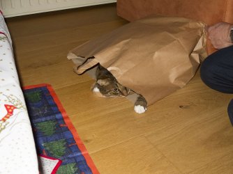 Weihnachten-Wiebeleskirchen_27.jpg