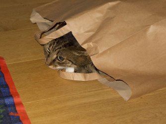Weihnachten-Wiebeleskirchen_28.jpg