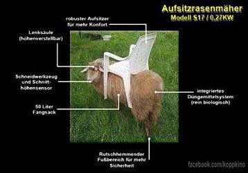 aufsitzrasenmaeher.jpg
