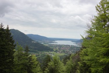 IMG_2881.jpg
