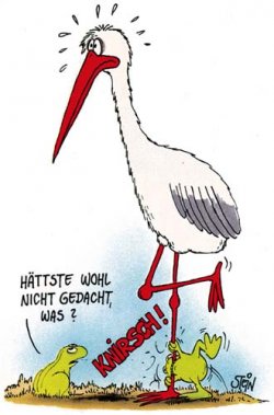 klein aber oho.jpg