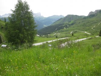 Dorf Tirol 2015 067.JPG