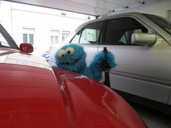 IMG_2281k.jpg