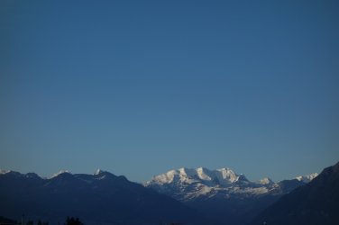 DSC05138.jpg