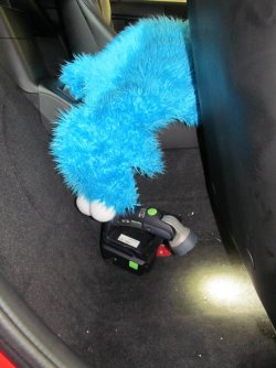 IMG_2292k.jpg